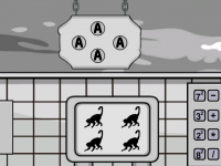 Rescue The White Puppy From Cage