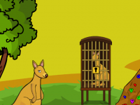 Baby Red Kangaroo Escape