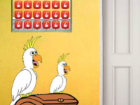 Find Old Treasure Box