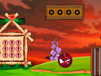 Rescue The Walrus From Cage