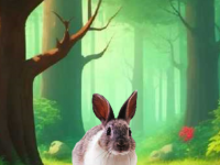 Rescue The Locked Kitten