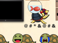 Find The Old Tortoise