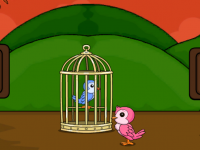 Help The Lovebirds From Cage