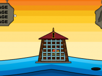 Release The Sunbird From Cage