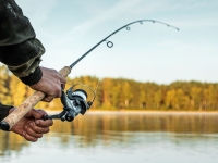 Sniffmouse Fishing Vacation