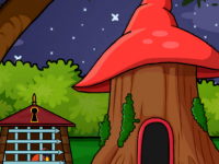 Help The Sunbird From Cage