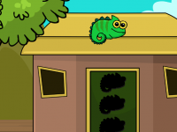 Northern Parula Escape