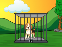 Rescue The Little Beagle Dog