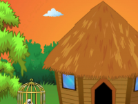 Escape The Little Bald Eagle From Cage