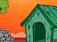 Wild Red Squirrel Escape