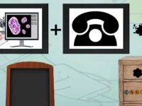 Find Comfy Deckchair