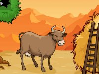 Lovely Woodpecker Bird Escape