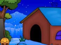 Snow Region Black Cat Rescue