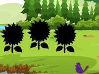 Help The Rabbit Father