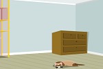 Find Ferret Escape