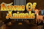 Rescue Of Animals
