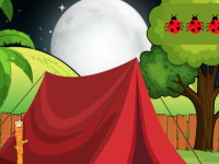 Red Harvester Ant Escape