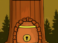 Gelada Baboon Rescue From Cage