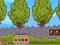 Helarctos Malayanus Rescue