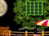 Injured Small Puppy Rescue