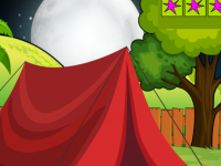 Hoopoe Bird Escape From Cage