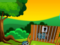 Owl Chicks Rescue From Cage