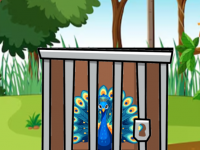 Caged Peacock Rescue