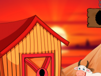 Guinea Fowl Rescue From The Cage