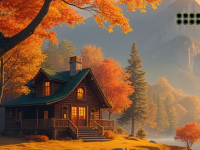 Giraffe Seeks Her Lost Baby