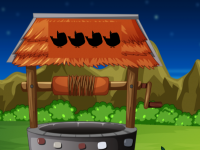 Turkey Vulture Rescue