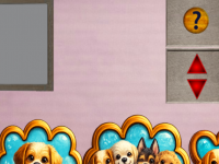 Find Lost Puppies Buddy And Bella