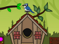 Free The Gray Rabbit