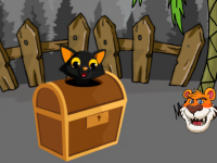 Black Cat Rescue From Wood Box