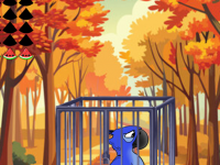 G2M Blue Parrot Rescue