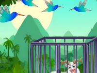 Jungle Goat Rescue