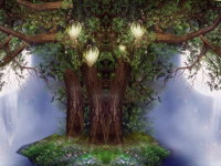 Magic In The Woods