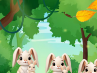 Cute Animal Escape