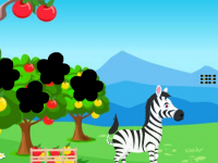 Zebra Discovers The Foal
