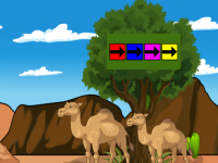 Save The Camel Calf