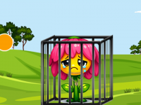 Flower Cage Escape