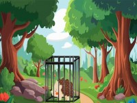 G2M Hedgehog Rescue