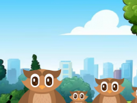 Trapped Raccoon Escape