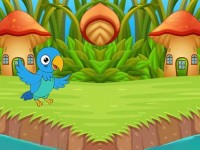 Stuck Macaw Reached Hut
