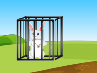 G2L Fluffy Rabbit Escape