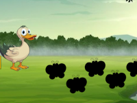 Duck Ready For Friends Hangout