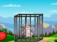 G2L Wild Raccoon Rescue