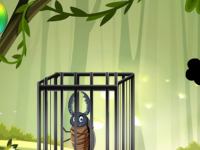 Beetle Rescue Escape