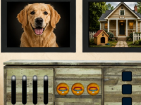 Dog Mom House Escape