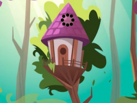 Join Misunderstanding Lovebird