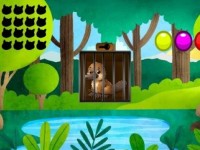 Platypus Cage Escape